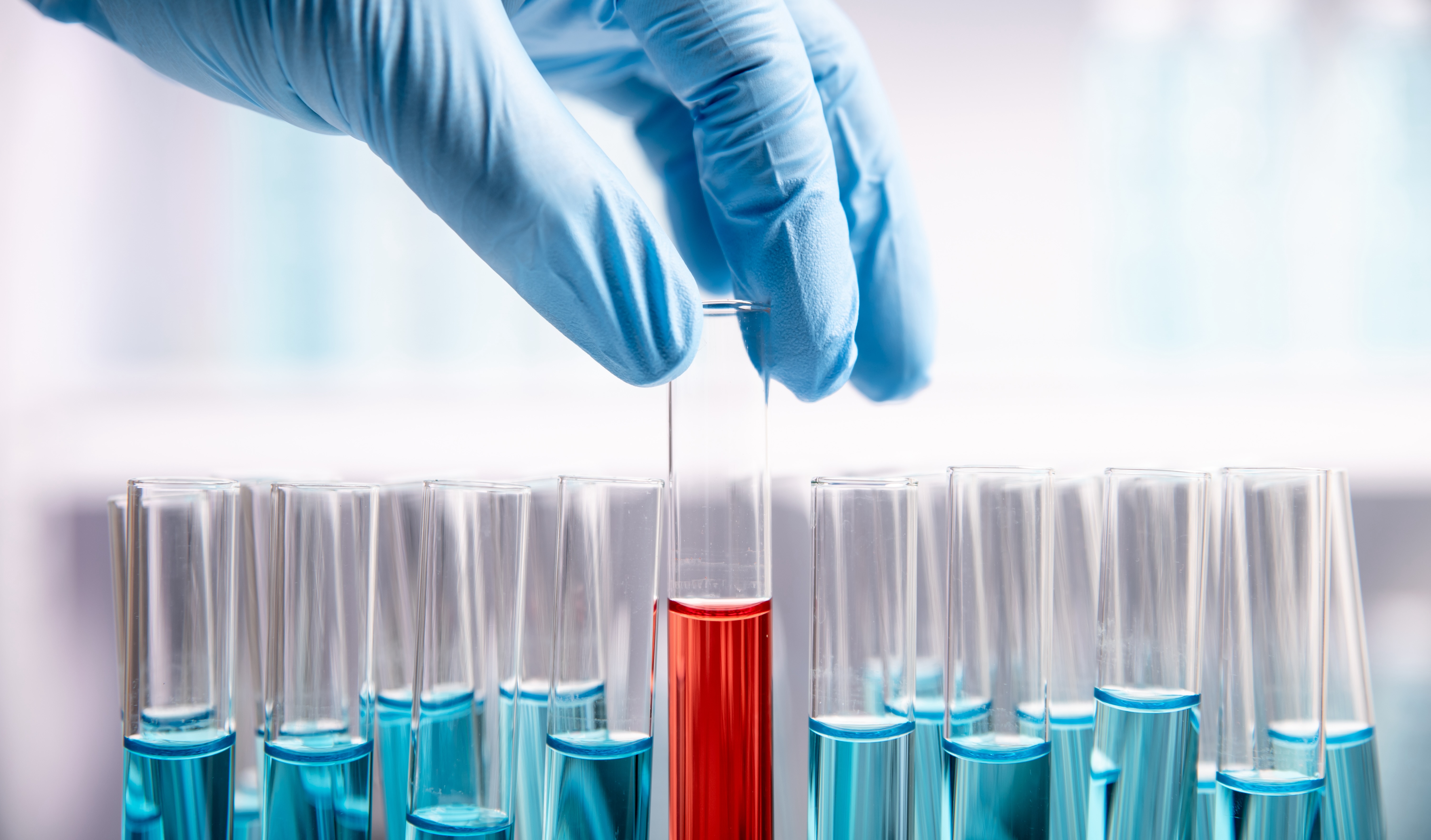 A gloved hand carefully places a test tube filled with red liquid among several others containing blue liquid, highlighting a moment of scientific experimentation and analysis in a laboratory setting.